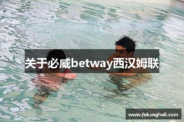 关于必威betway西汉姆联